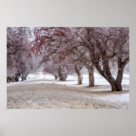 Póster poster de pared de 36x24