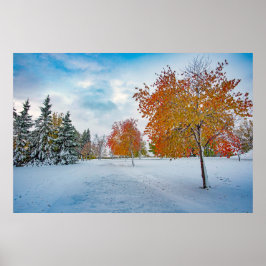 Póster poster de pared de 36x24