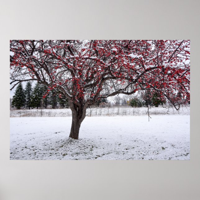 Póster poster de pared de 36x24 (Frente)