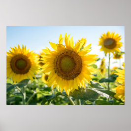 Póster poster de pared de 36x24