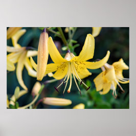 Póster poster de pared de 36x24