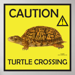Póster Poster de paso de tortuga con precaución