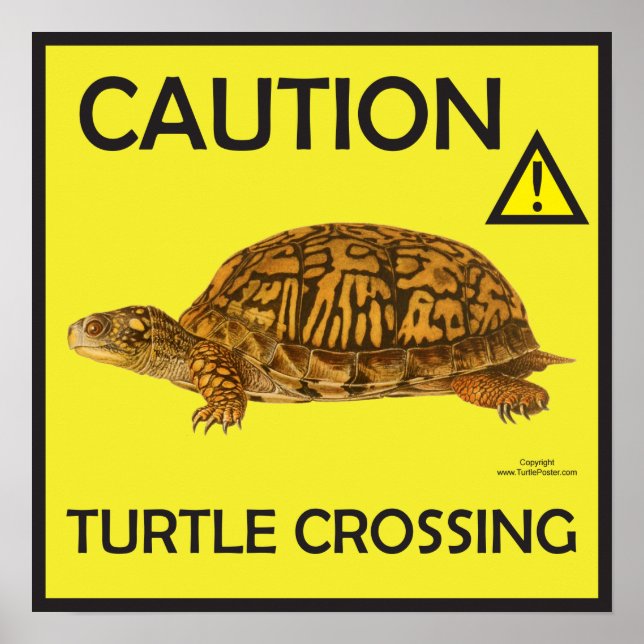 Póster Poster de paso de tortuga con precaución (Frente)
