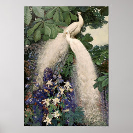 Póster Poster de pavo real blanco