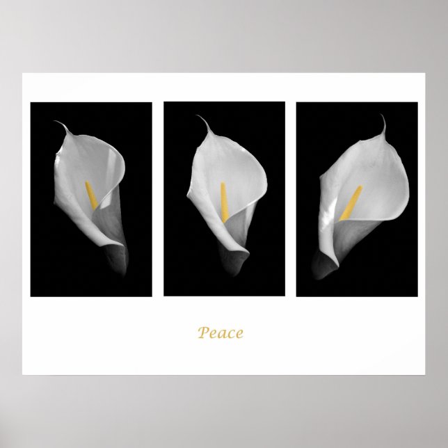 Póster Poster de Paz (Frente)