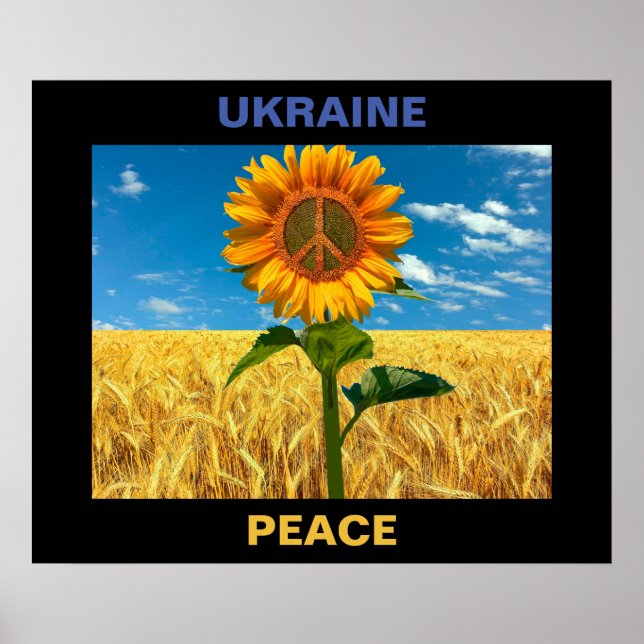 Póster Poster de Paz de Ucrania - 24"x20" (Frente)
