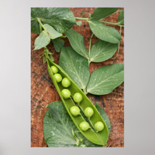 Póster Poster de Pea Pod