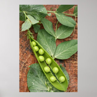 Póster Poster de Pea Pod