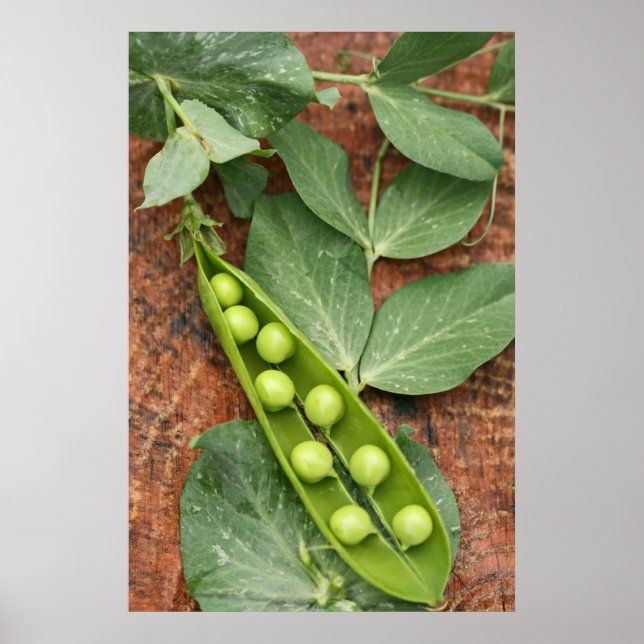 Póster Poster de Pea Pod (Frente)