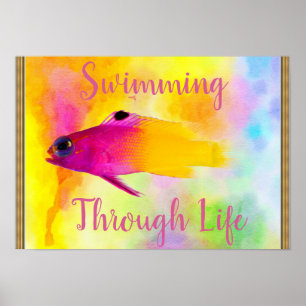 Póster Poster de peces