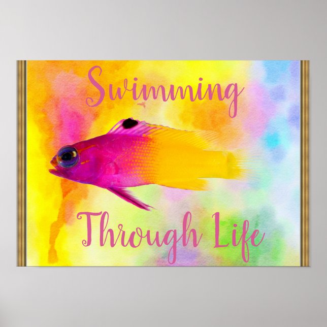 Póster Poster de peces (Frente)