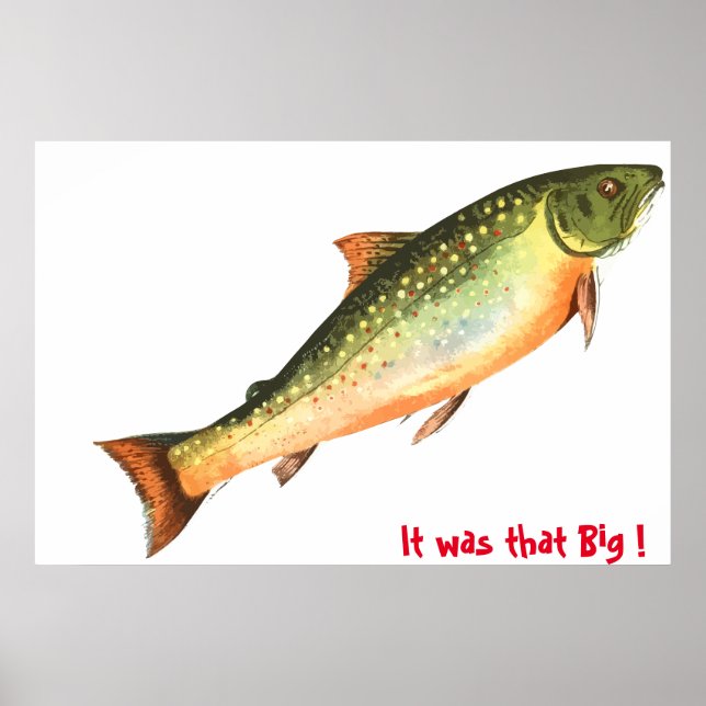 Póster Poster de peces grandes (Frente)
