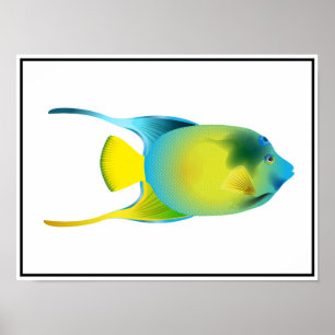 Póster Poster de peces tropicales