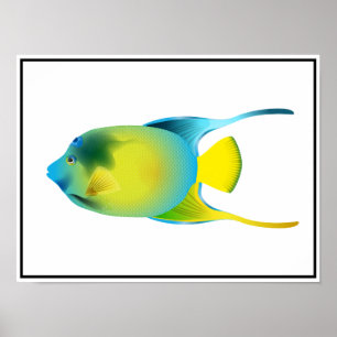 Póster Poster de peces tropicales