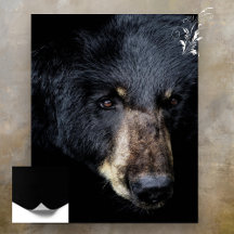 Poster de perfil de oso negro