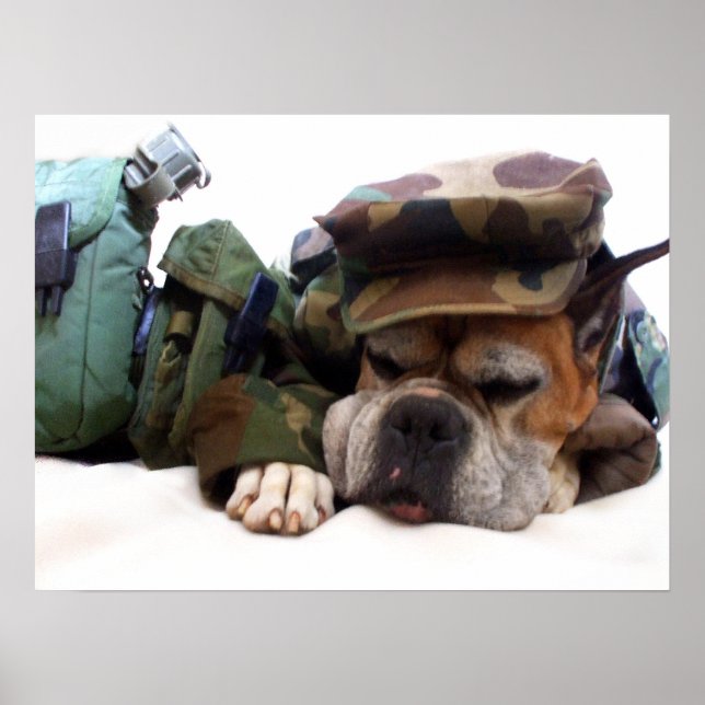 Póster Poster de perro boxeador militar (Frente)