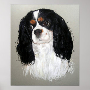 Póster Poster de perro Cavalier King Charles Spaniel