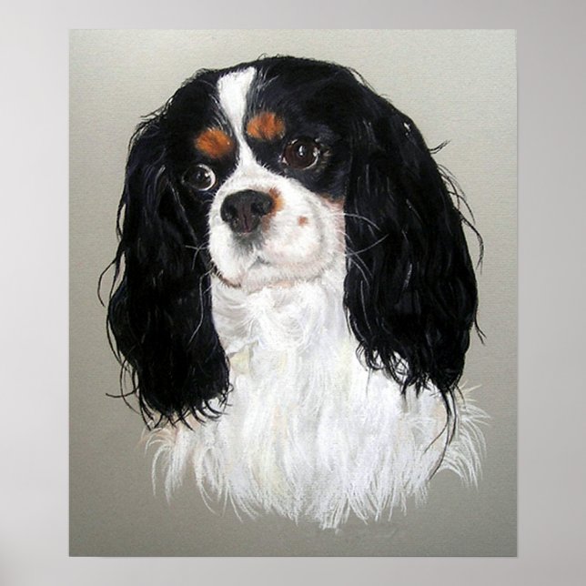 Póster Poster de perro Cavalier King Charles Spaniel (Frente)