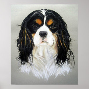 Póster Poster de perro Cavalier King Charles Spaniel
