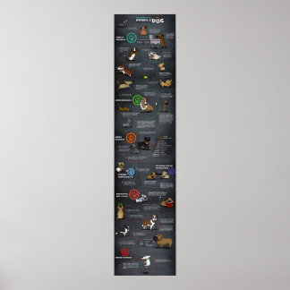 Póster Poster de perro de Guay