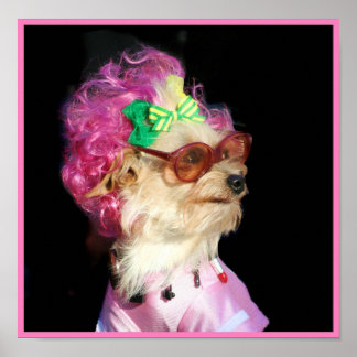 Póster Poster de perro de juguete de moda MIx