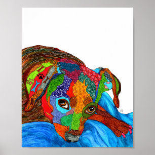 Póster Poster de Perro de raza mixta lindo y colorido - "