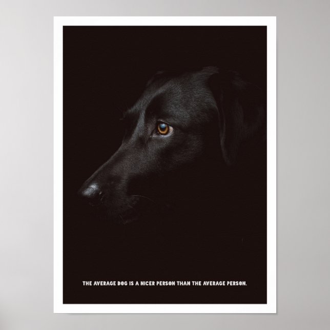 Póster Poster de perro negro (Frente)