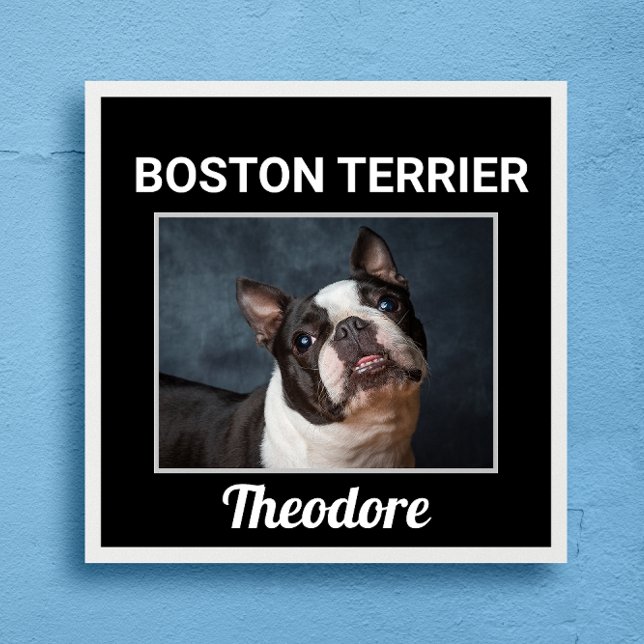 Póster Poster de perro Personalizado de Boston Terrier (Subido por el creador)