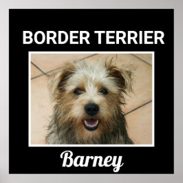 Póster Poster de perro Personalizado de la frontera terri