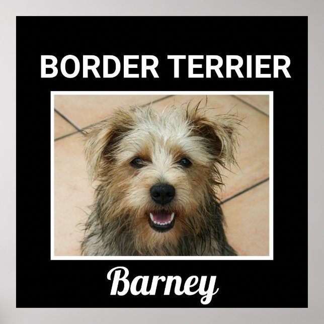 Póster Poster de perro Personalizado de la frontera terri (Frente)