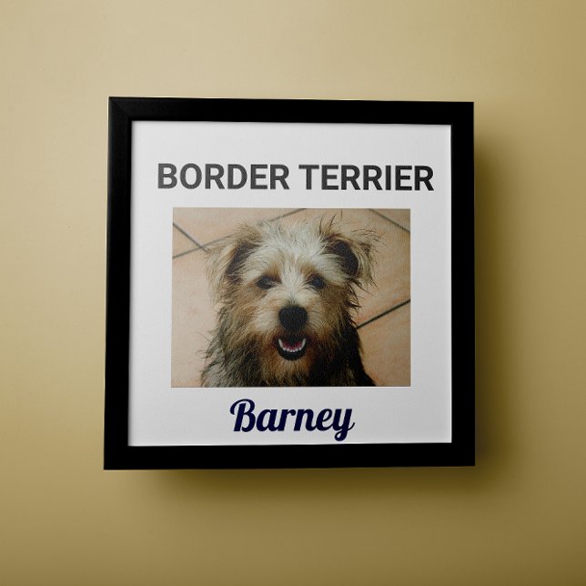 Póster Poster de perro Personalizado de la frontera terri (Subido por el creador)