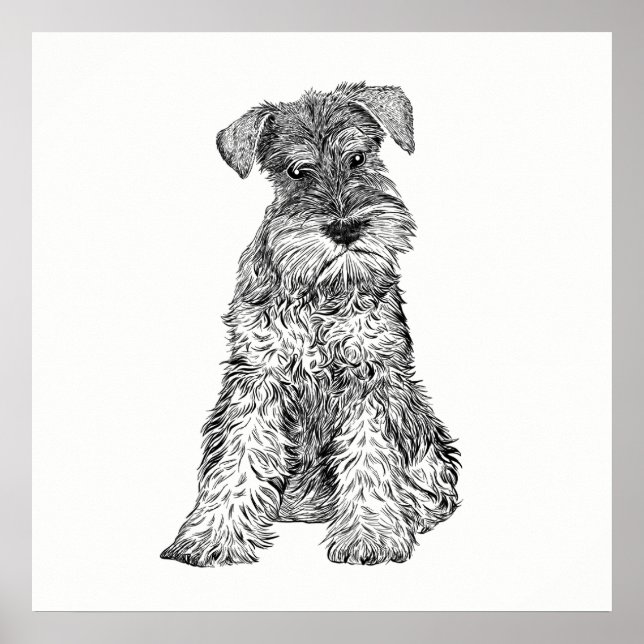 Póster Poster de perro / Schnauzer de Wall Art (Frente)