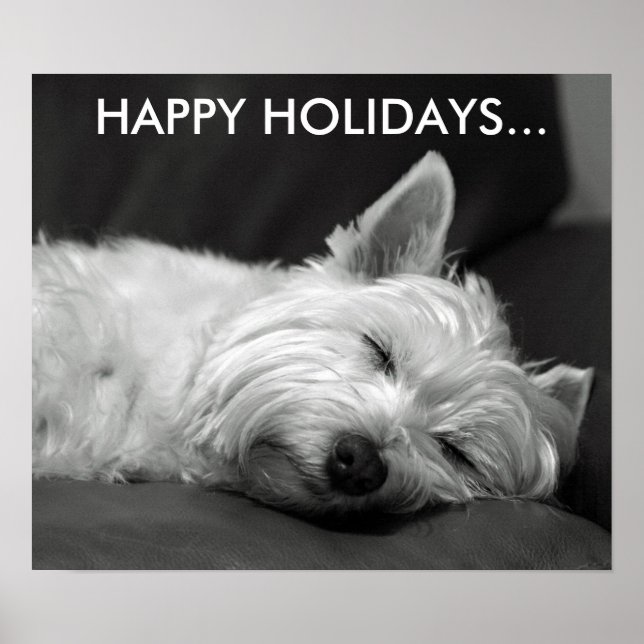 Póster Poster de Perro Terrier de Cute West Highland (Frente)