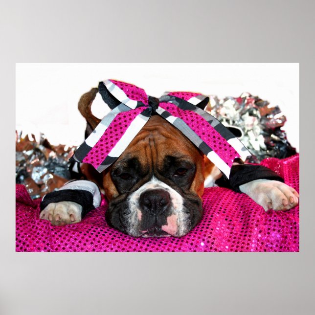 Póster Poster de perros animador Boxer (Frente)