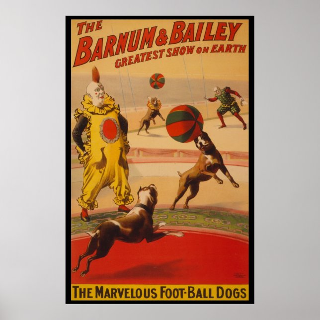 Póster Poster de Perros de Pelota Barnum & Bailey Circus  (Frente)