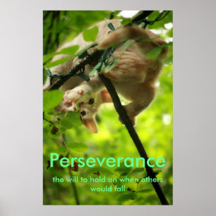 Póster Poster de Perserverance