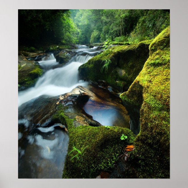 Póster Poster de personalizable: Cascada del río Chattoog (Frente)