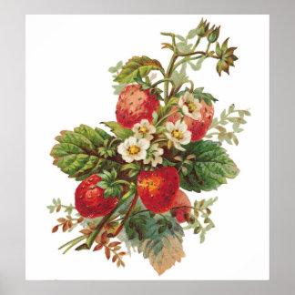 Póster Poster de Personalizable de fresas en flor