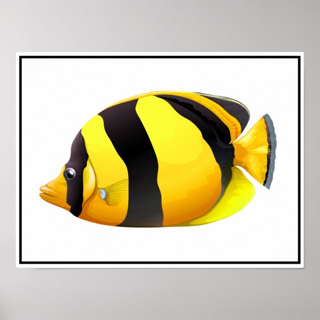 Póster Poster de pescado a rayas (Frente)