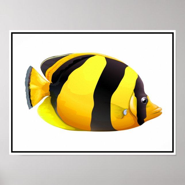 Póster Poster de pescado a rayas (Frente)