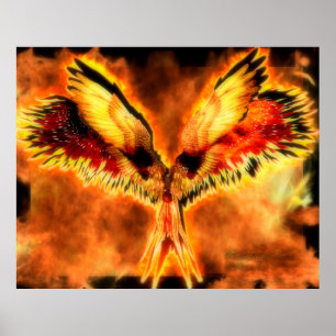 Póster Poster de Phoenix