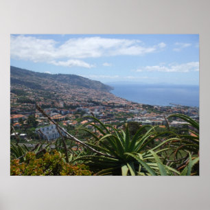 Póster Poster de Pico dos Barcelos II