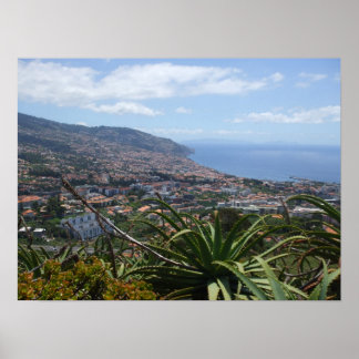 Póster Poster de Pico dos Barcelos II