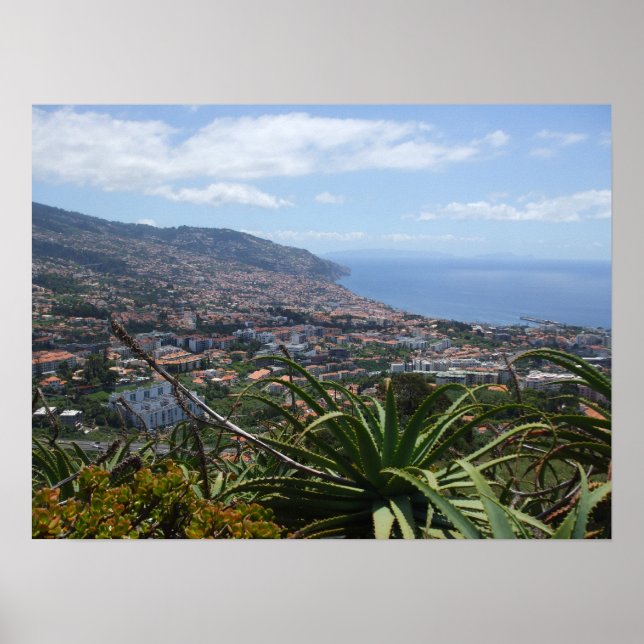 Póster Poster de Pico dos Barcelos II (Frente)