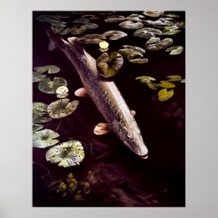 Póster poster de pike del norte