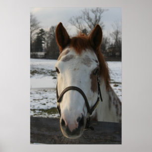 Póster Poster de pintura