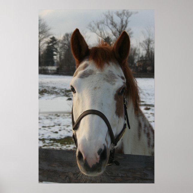 Póster Poster de pintura (Frente)