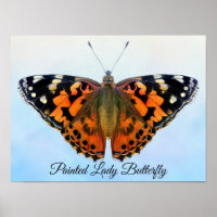 Poster de pintura de color de mariposa Lady Pintad