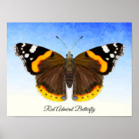 Poster de pintura de color mariposa de Almirante R