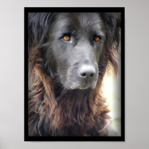 Póster poster de pintura de perros